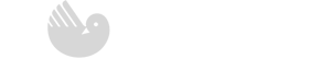 Servicio Técnico Saunier Duval en Sant Cugat del Vallés